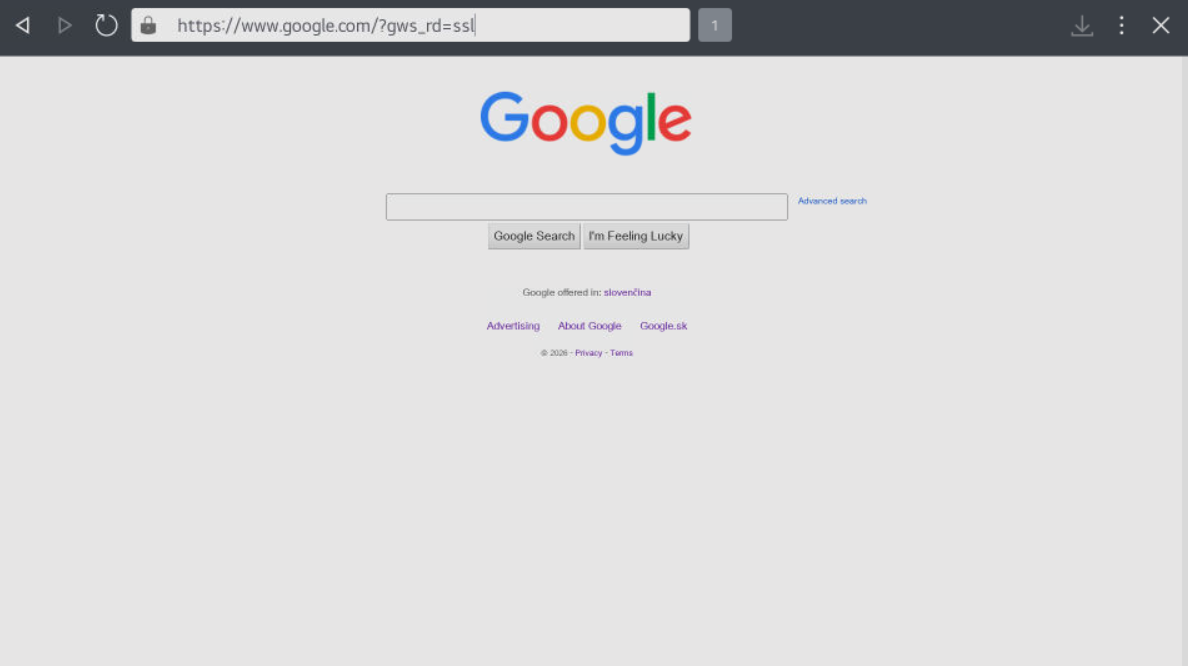 Google loaded successfully in the TV browser
